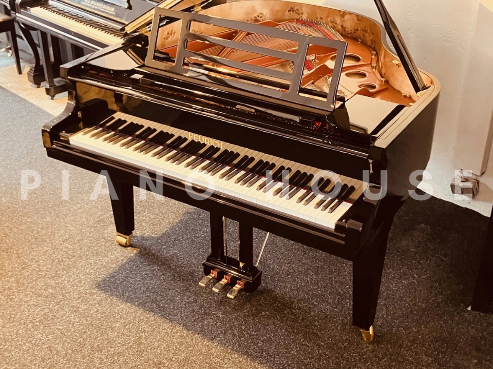 FEURICH 162  & DYNAMIC I (Black Polish & Brass)